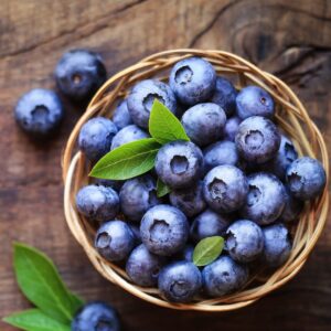 Abbildung Heidelbeeren bzw. Blaubeeren