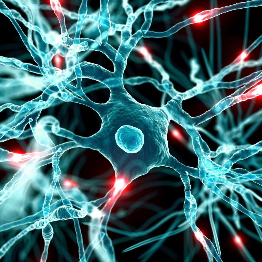 Palmitoylethanolamid (PEA) – natürliche Substanz zur Schmerzlinderung und Entzündungshemmung, dargestellt mit einer symbolischen Grafik für Nervenschutz.