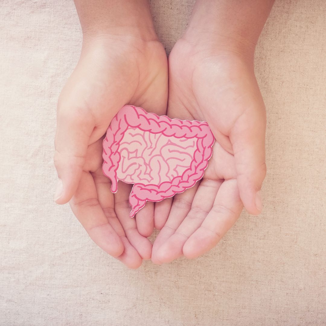 Illustration zur Rolle von Cholin im menschlichen Darm und Stoffwechsel