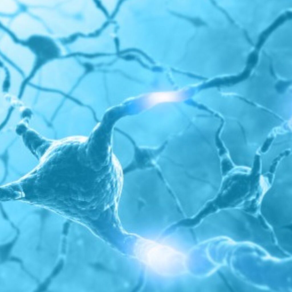 Mikroskopische Darstellung von Gehirnzellen mit Amyloid-Plaques – Studie zu Lithium und Alzheimer an der Harvard Universität